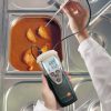 Термометр Testo 110 одноканальный для высокоточного мониторинга