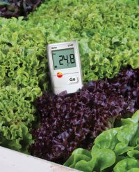 Testo 174 T - Мини-логгер данных температуры (0572 1560)