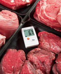 Комплект Testo 174T - 1-канальный мини-логгер температуры с USB-интерфейсом (0572 0561)