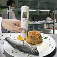 Комплект Testo 106 - Пищевой термометр (0563 1063)