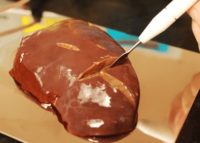 Аппарат электрохирургический для ветеринарии «ФорВет 120»